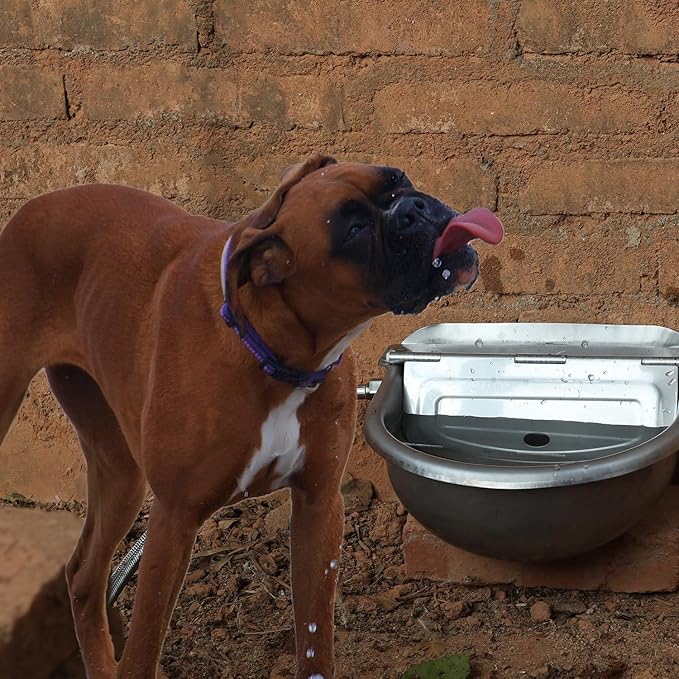 Automatic Dog Water Bowl Dispenser Large Size Pet Waterer Feeder - Image 7