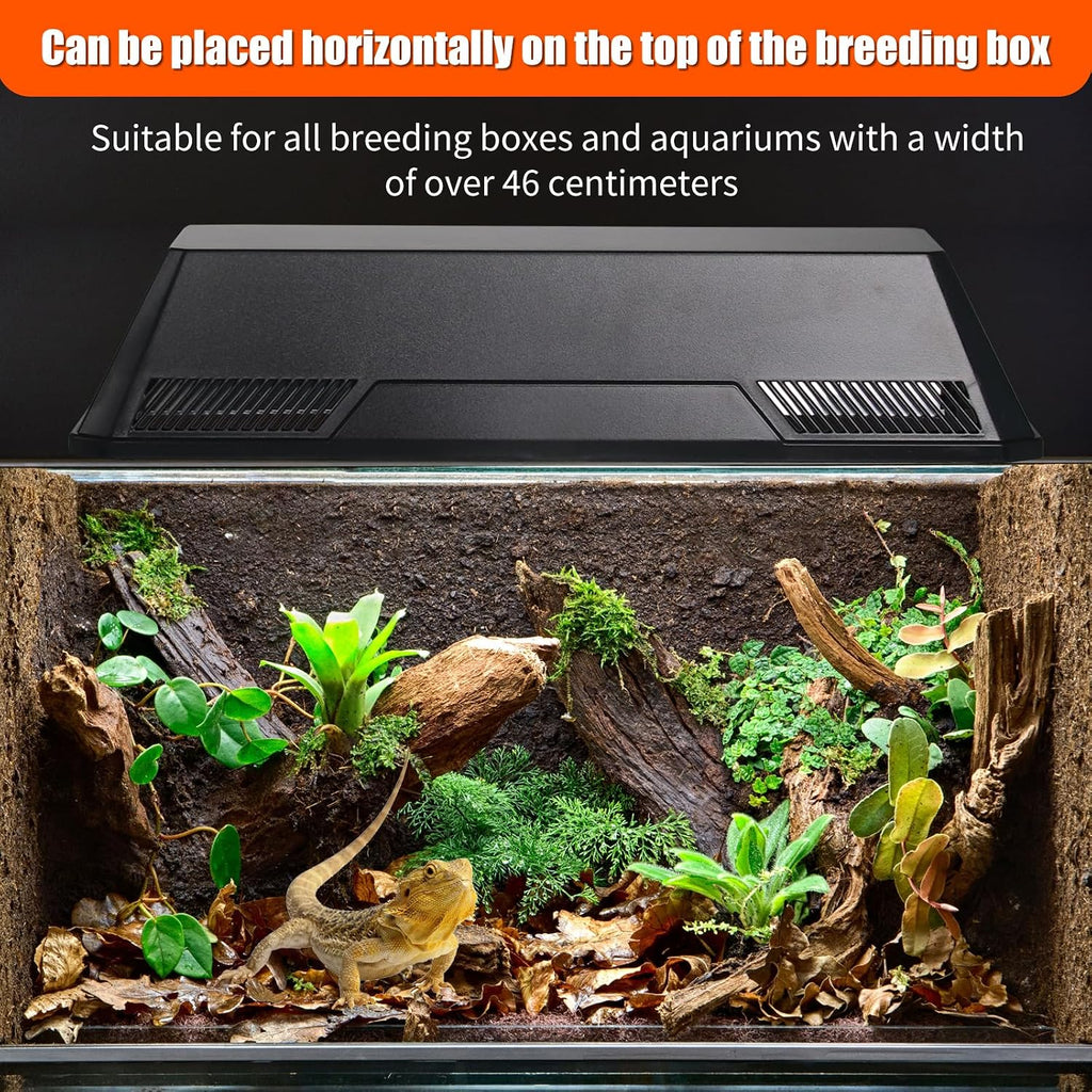 Dual Reptile Light Fixture with Separate Switches, 120W Max E26 Socket