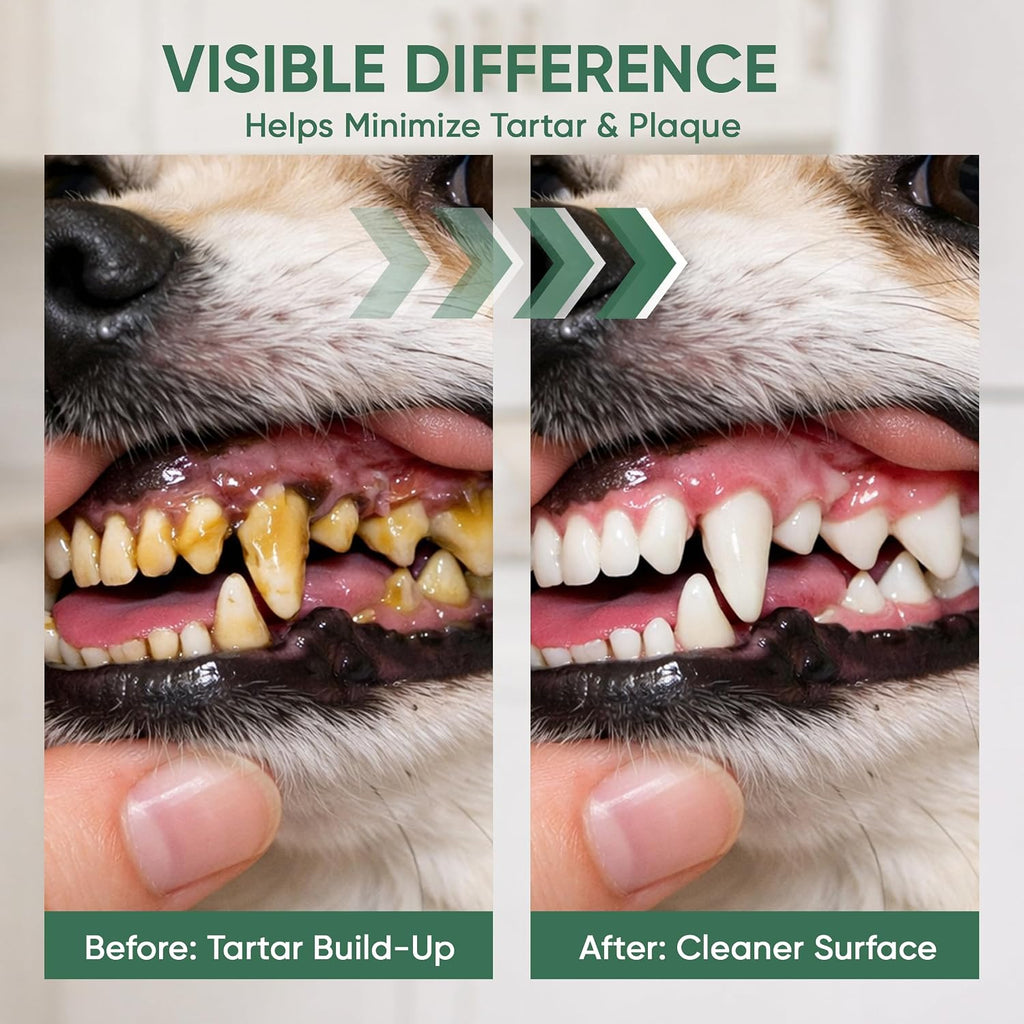 Dentaclean for Dogs, Natural Source of Minerals that Helps Minimize Tartar Buildup, Freshens Breath, for a Healthy Balance of Oral, Supports Oralhygiene, Gums & Oral Health for Dogs, 100ml