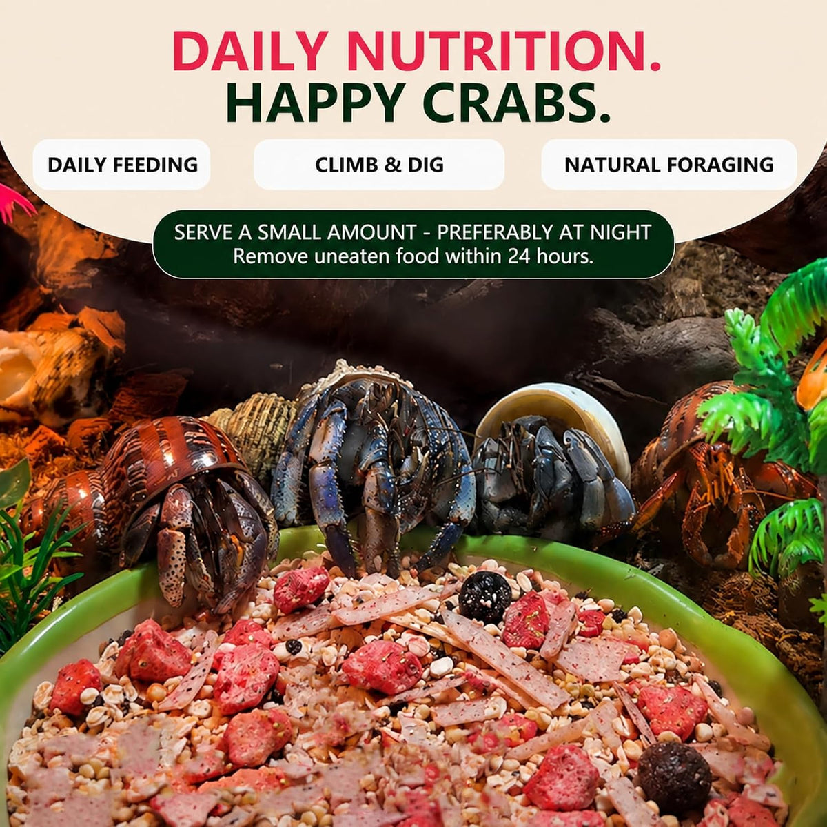 Hermit Crab Food, Fruity Breakfast Fruit & Grain Mix, 6 oz