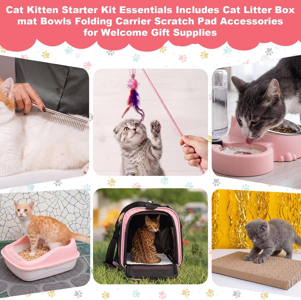 8 Pcs Kitten Supplies Starter Kit Cat Starter, Handbag, Pink