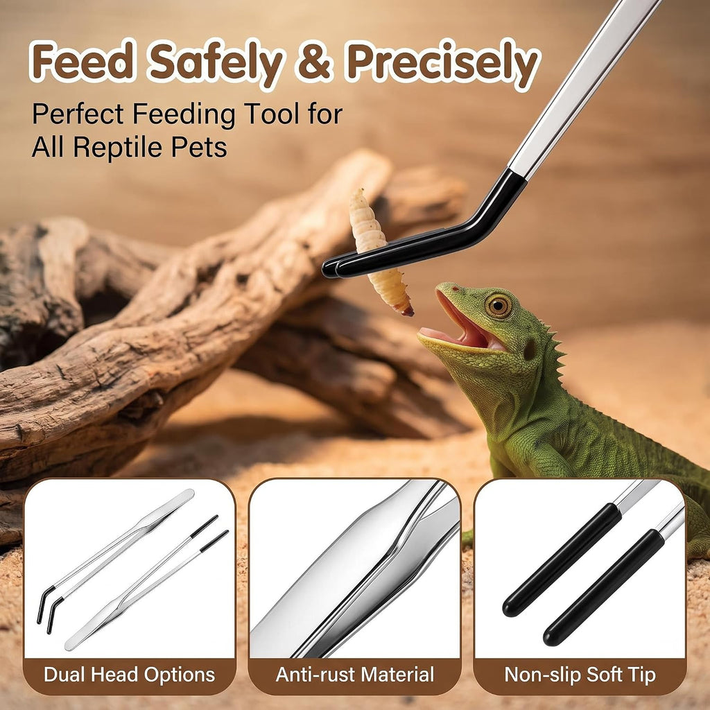 Reptile Feeding Habitat Accessory Kit, Hanging Veggie Feeding Ball, 2Pcs Suction Cup Feeding Ledges, 10.6" Stainless Steel Feeding Tongs Set, Reptile Supplies for Bearded Dragon Gecko Chameleon Lizard
