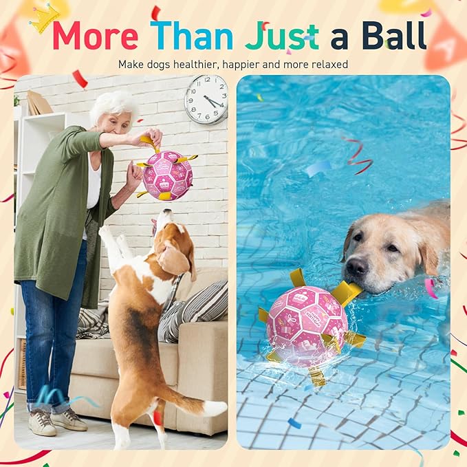 QDAN Dog Birthday Toys, Squeaky Dogs Toys, Dog Soccer Ball - Image 6