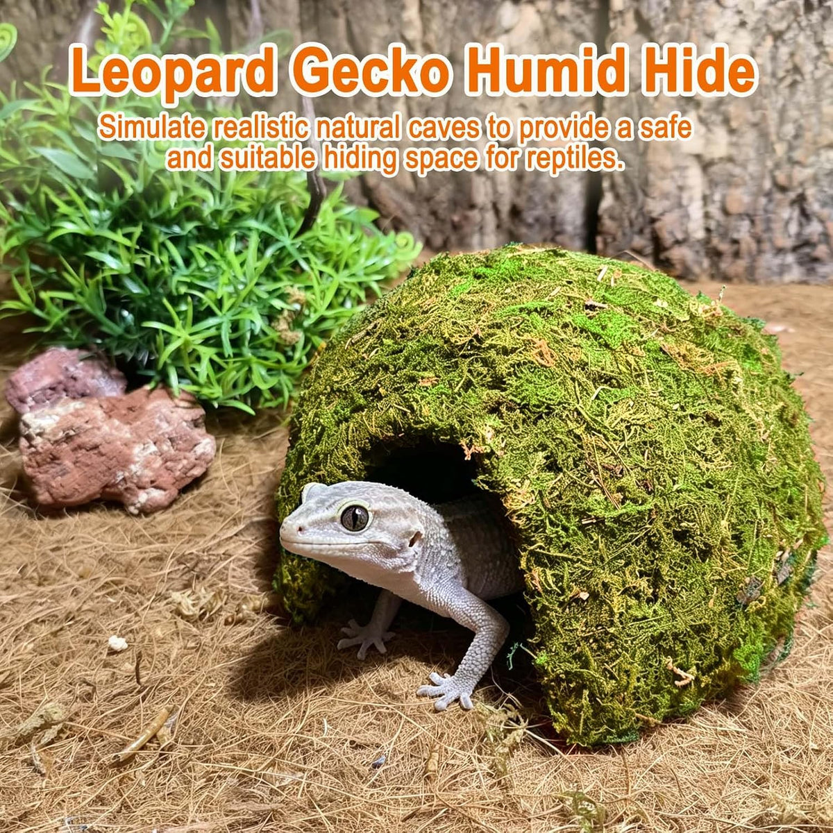 Natural Moss Reptile Hideout Cave,Leopard Gecko Humid Climbing Hide,Yellow