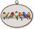 DILSJ Bird Oval Wall Art Decor, Rustic Nature Colorful Sparrow Birds Canvas by DILSJ