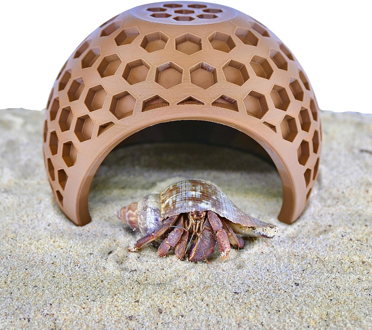 Hermit Crab Climbing Coconut Hideout Hut | Hermit Crab Climb Tank Decor Cave | Hideaway Habitat Hide Enrichment Decoration Accessories Supplies Toys Ornaments Climbing Toys