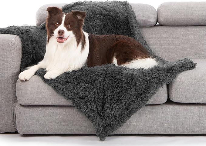 gogobunny Waterproof Dog Blanket by gogobunny