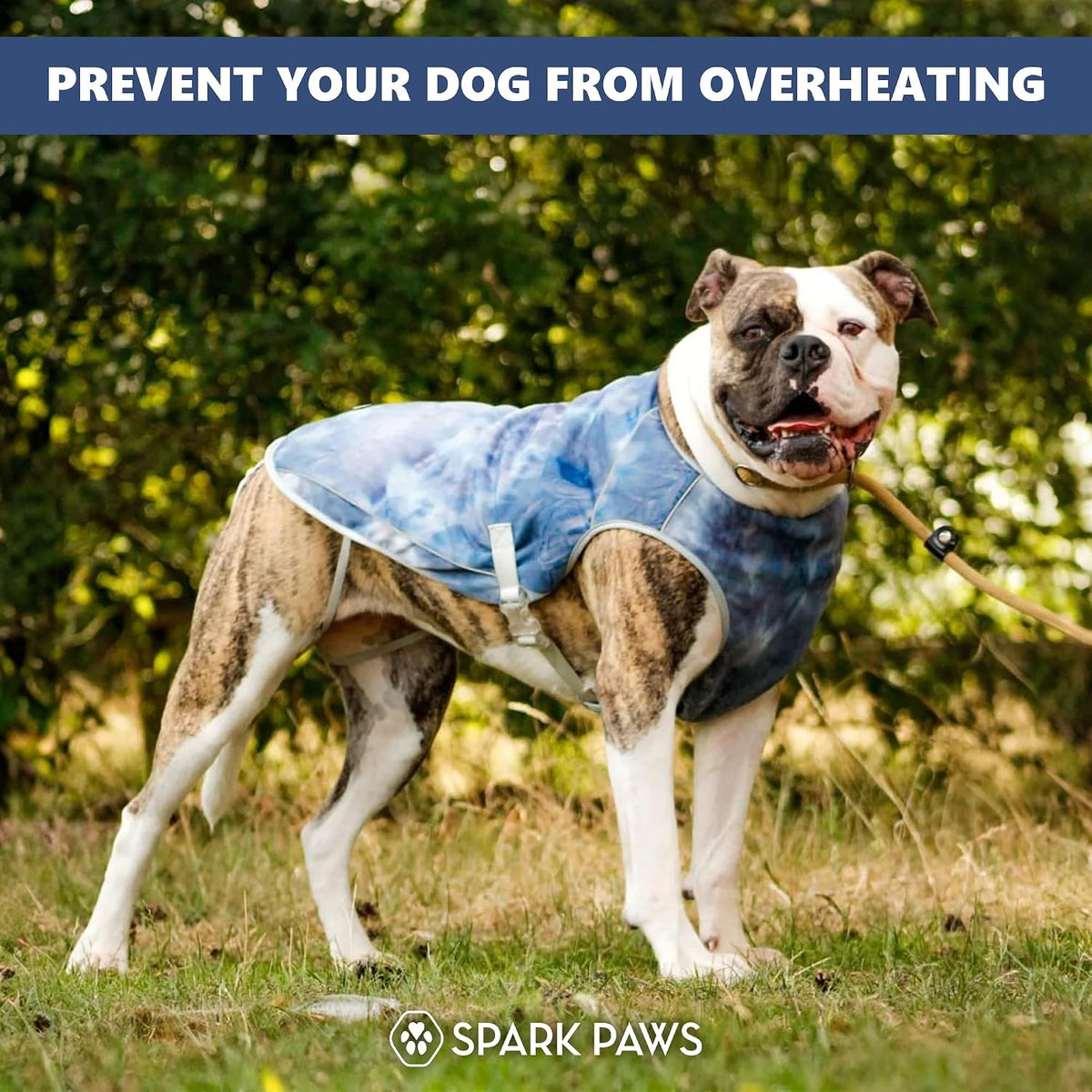 Spark Paws Dog Cooling Vest - Evaporative Summer Cooling, SPF-50 Protection