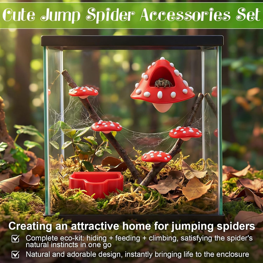 6 Pcs Jumping Spider Enclosure Accessories with Magnetic Mushroom Hide
