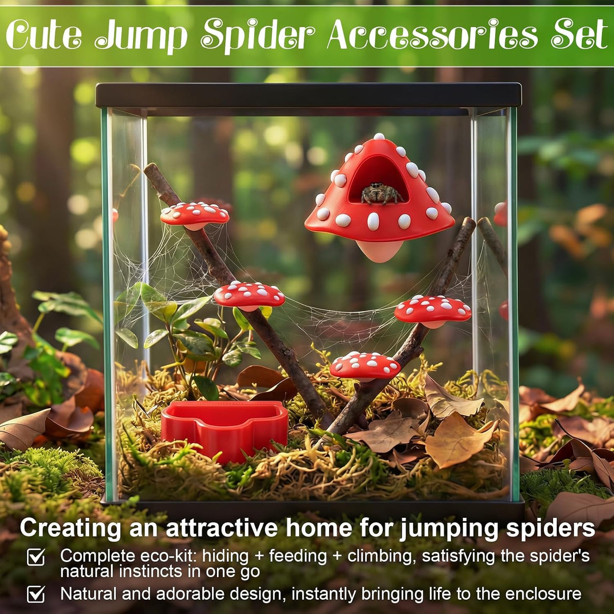 6 Pcs Jumping Spider Enclosure Accessories with Magnetic Mushroom Hide