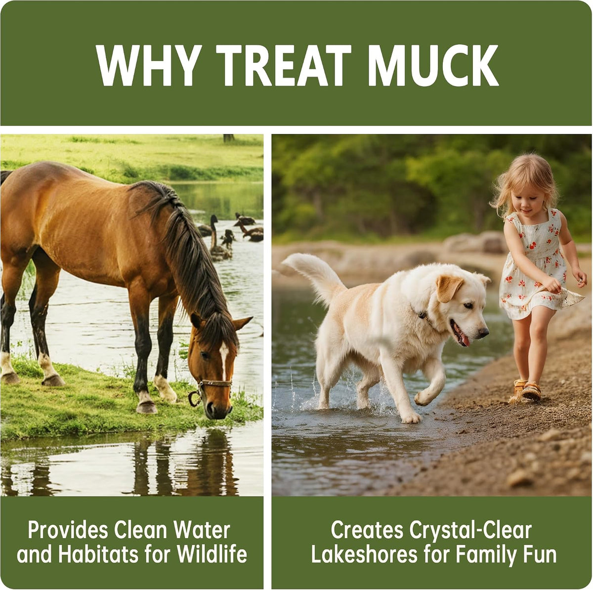 LMJP Muck Reducer for Ponds, Sludge Solution, Away Muck & Odor Control, 5LB