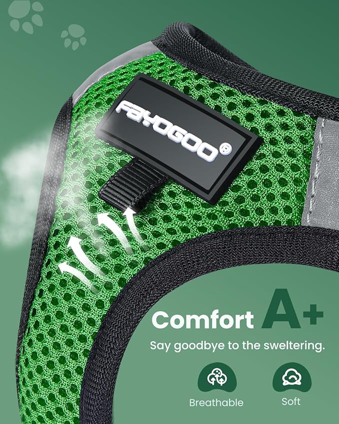 FAYOGOO Cat Harness, Cat Leash and Harness Set - Image 2