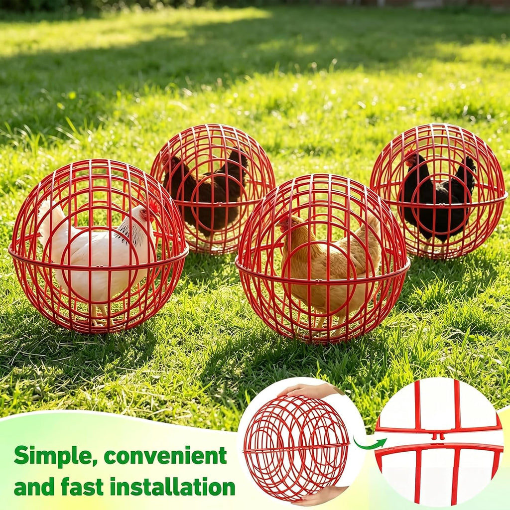 Chicken Ball Cage 4 Pack