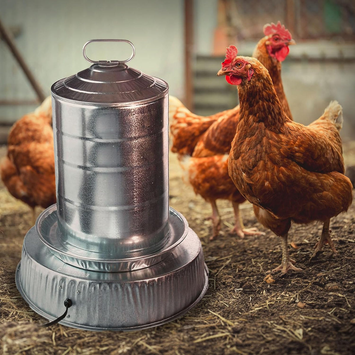Farm Innovators Heated Base for Double-Wall Metal Poultry Founts, 125 Watts