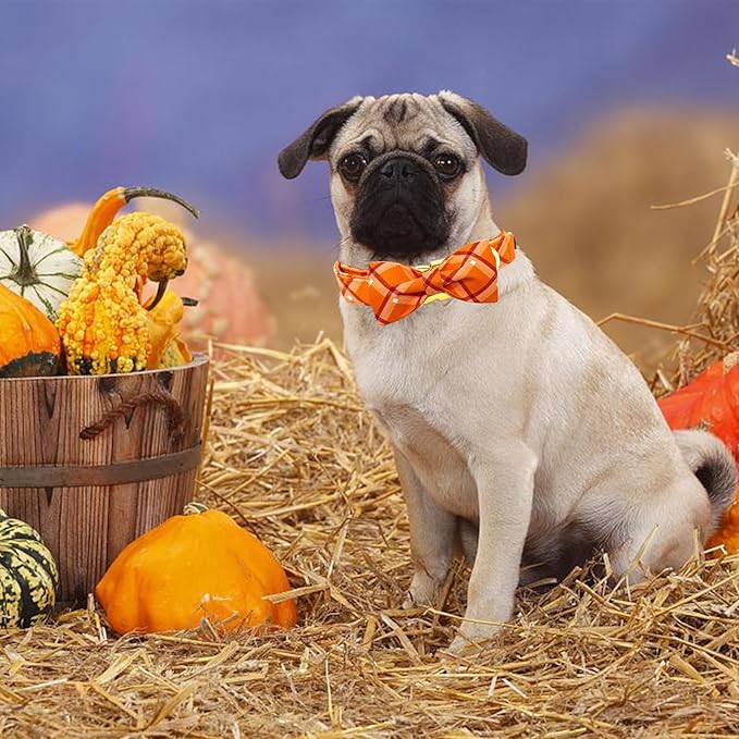Fall Dog Collar, Pet Collar Bow Orange Plaid Collars Girl Boy Holiday Pet - Image 5