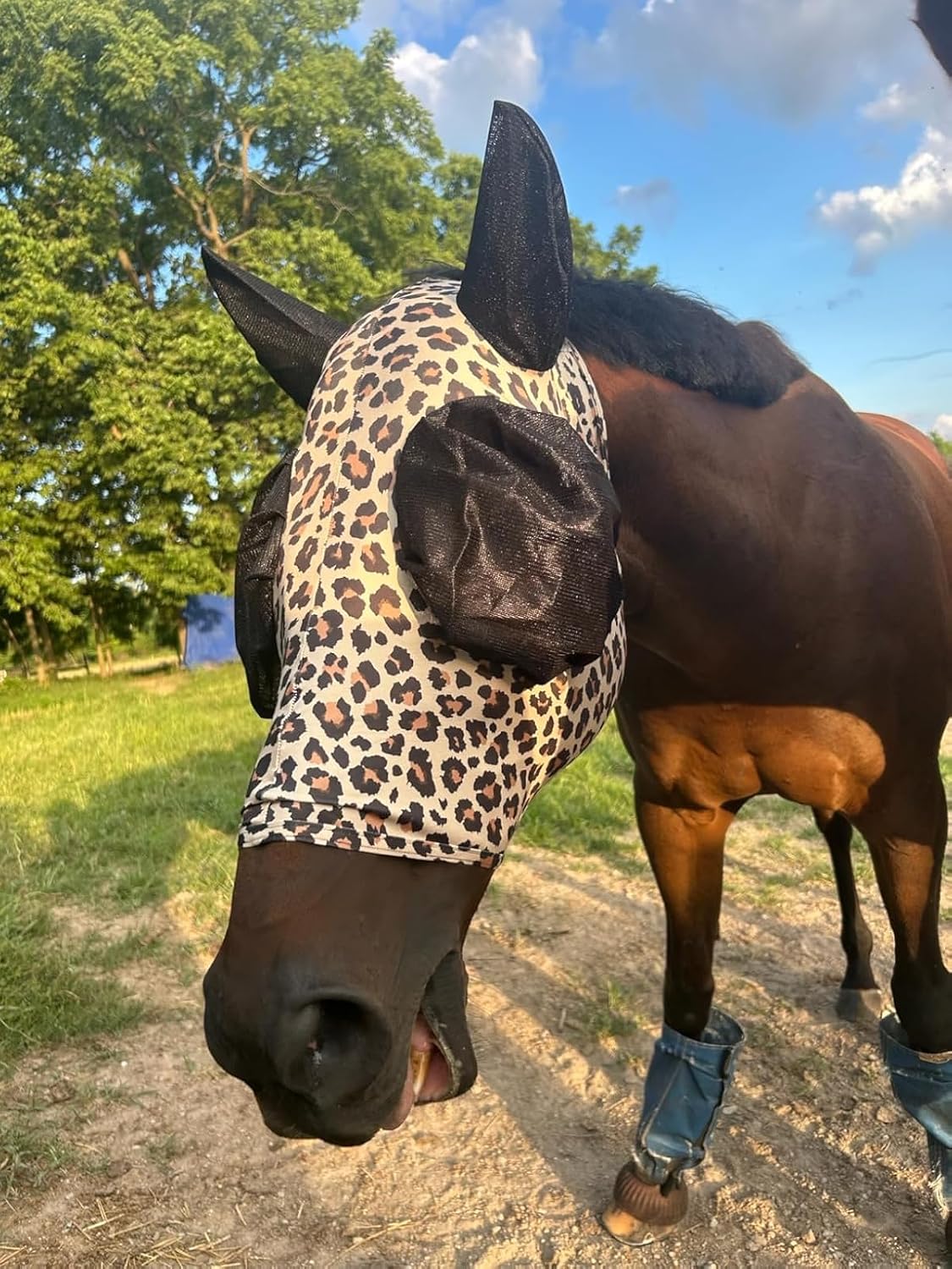 Stretchable UV-Blocking Equine Fly Mask with Moldable Ear Covers, Adjustable Comfort Mesh Straps, Leopard-Pattern Pasture & Trail Protection Perfectly Sized for Full Sized Horses -