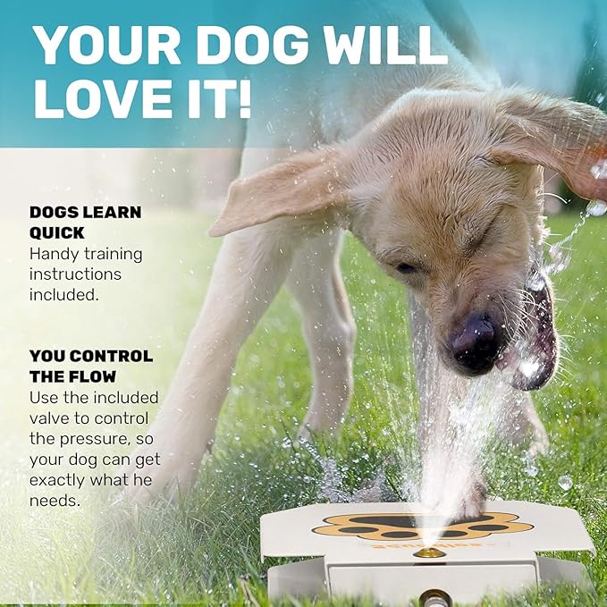 Scuddles Dog Sprinkler, Paw Activated Water Fountain, Outdoor Dog Water - Image 3