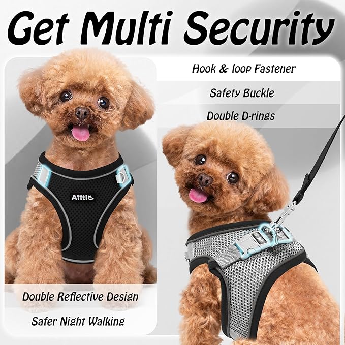 AIITLE Dog Harness, No-Pull Cat Harness - Image 5
