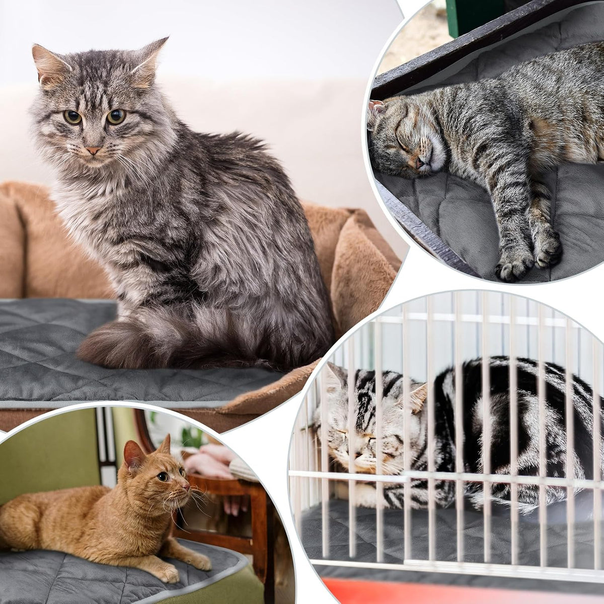 4 Pack Self Heating Cat Pad Self Warming Dog Mat, 16 x 20 Inch, Gray