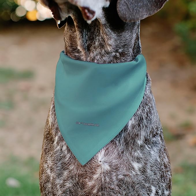 Star Wars Pet Bandana Star Wars Madalorian and Grogu Where He Goes I Go Pose - Image 5