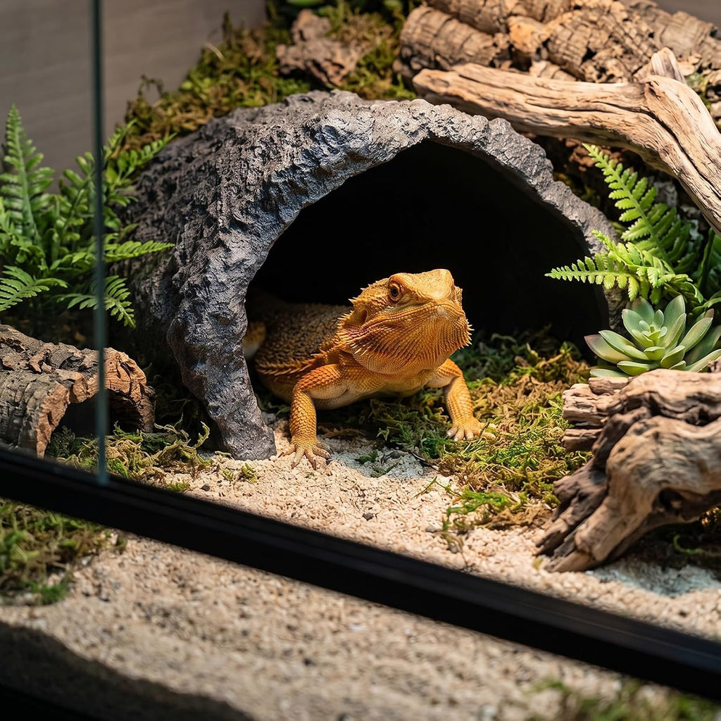 Extra Large Resin Rock Cave Hideout for Bearded Dragon, Tortoise