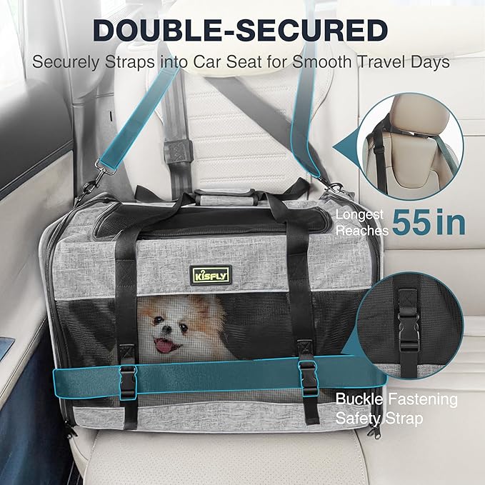 Cat Carrier for 2 Cats/Kitten, Pet Carrier for Cat, Small Dog & Bunny, Foldable - Image 2