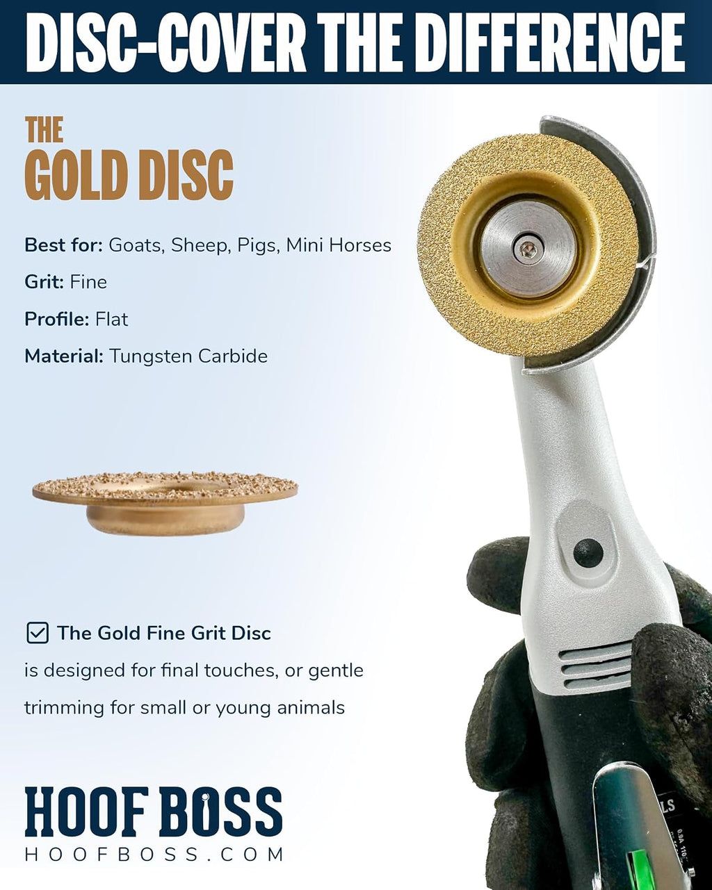 Gold Fine Grit Disc, 2" Precision Hoof Trimming Disc