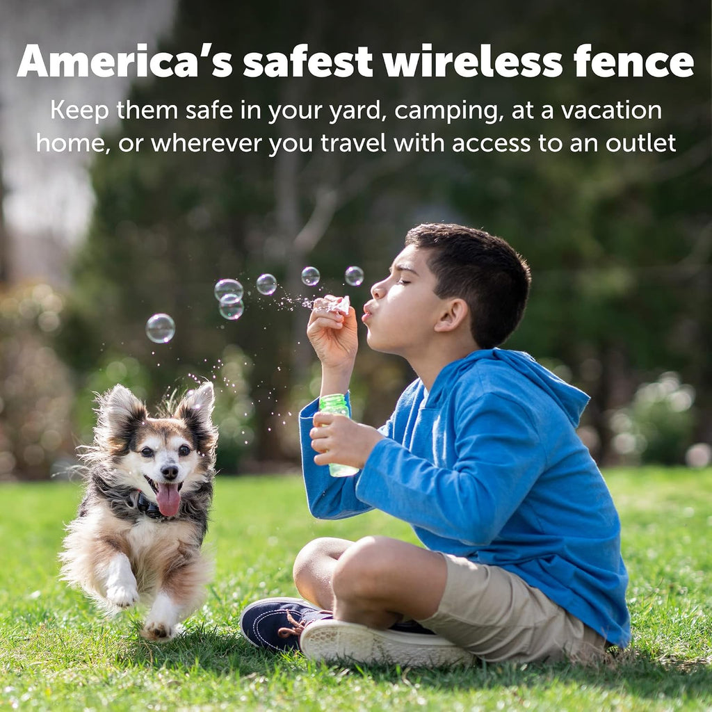 PetSafe Wireless Pet Containment System with 2 Replacement Collar Batteries