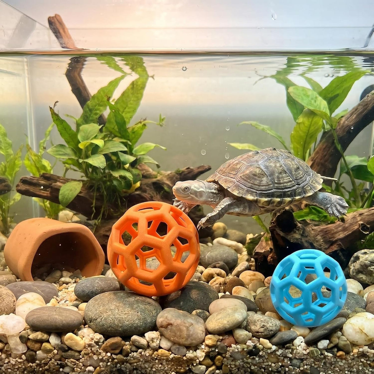 2PCS Turtle Feeder Balls, Slow Feeder Foraging Toy for Turtles & Tortoises, Reusable Fruit Vegetable Treat Holder, Aquarium Tank Habitat Accessories for Reptiles