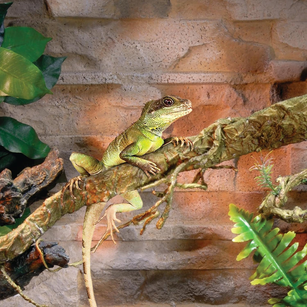 Penn-Plax Reptology Reptile Climber-Vine – Thick Green Vine Decoration for Terrariums – 5” Length (REP401)