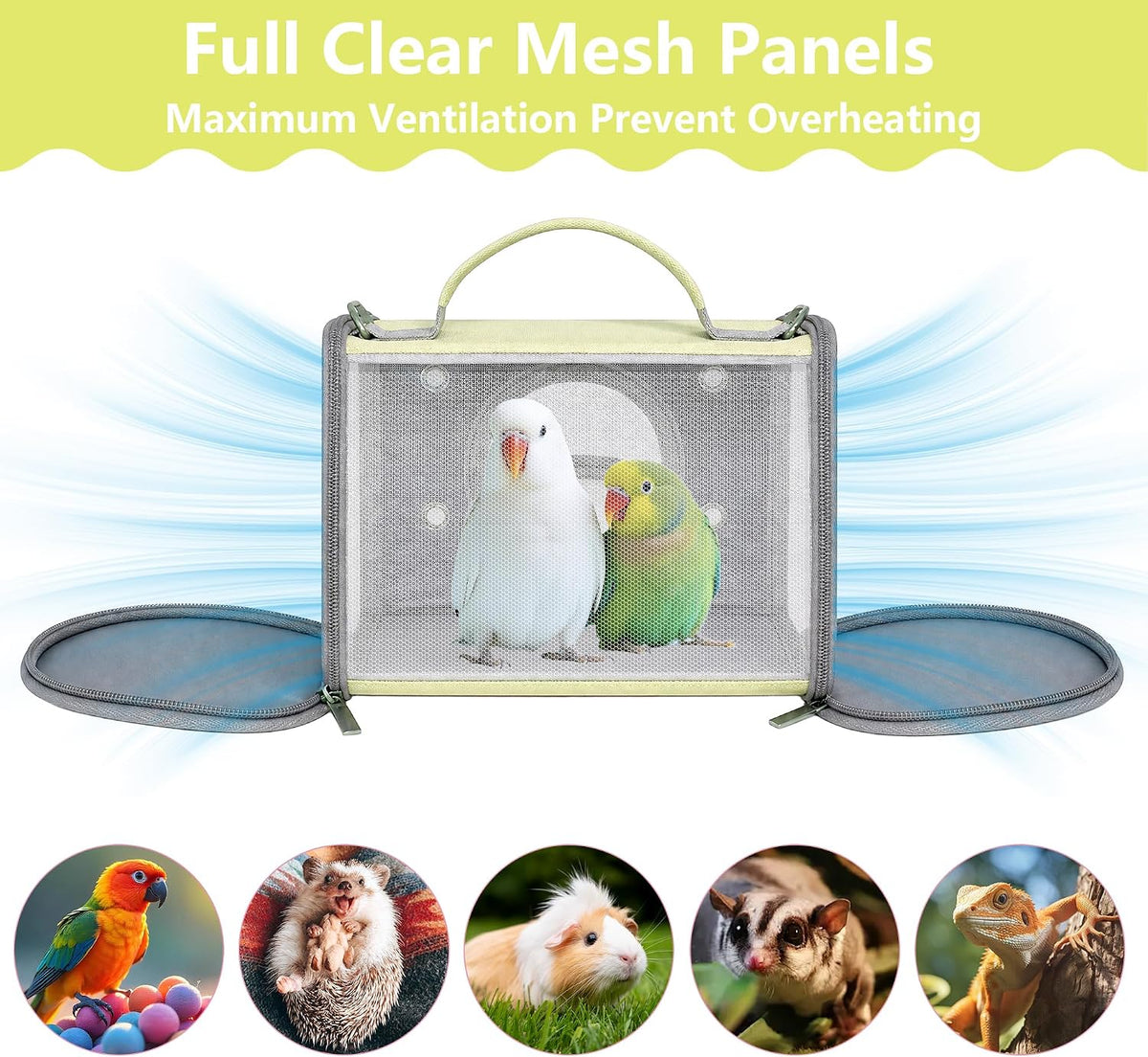 Portable Small Animal Travel Carrier, Foldable Breathable Travel Pet Cage for Hamsters, Guinea Pigs, Rabbits, Birds & Reptiles, Bird Carrier for Small Parrots & Parakeets (Large, Green)