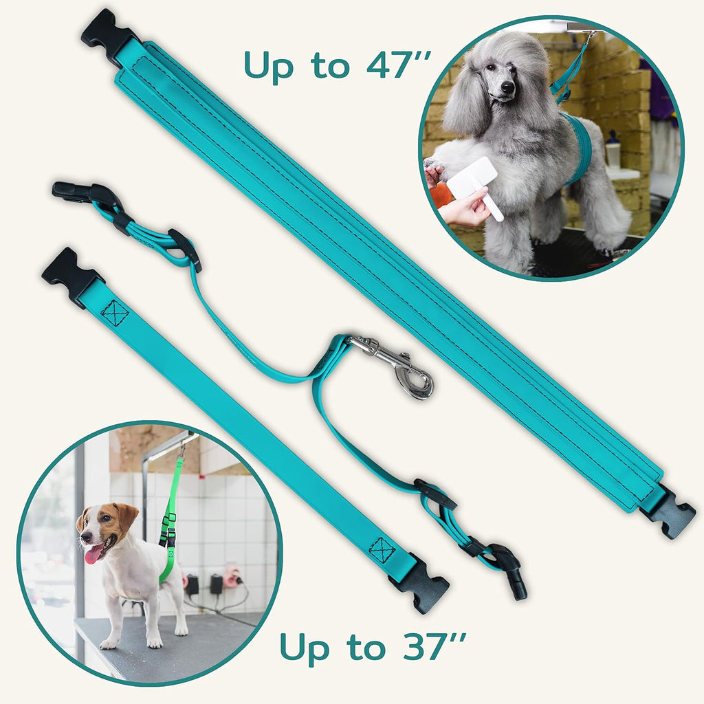 Jelly Pet Dog Belly Loop Restraint for Pet Grooming Table and Tub - Easy to Clean and Waterproof (Purple) | Made in the USA