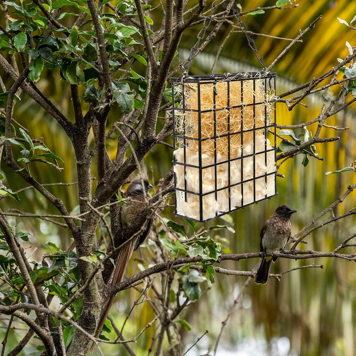 Bird Nesting Material Set Rectangle Humming Bird Nesters with Natural Cotton Raffia Sturdy Hanging Bird House for Outdoor Wild Bird Resting Place The Ideal Gift for Bird Lovers Black