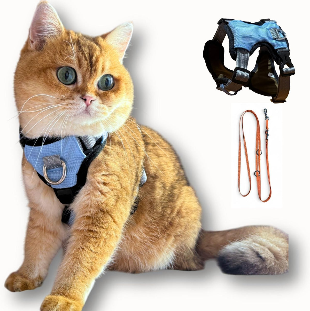 Cat 5-Point Adjustable Harness and Leash Set, Sky Blue Polyester, 5-Point Adjustable Vest with Reflective Lines Prefect for Outdoor Soft Comfortable (Medium)