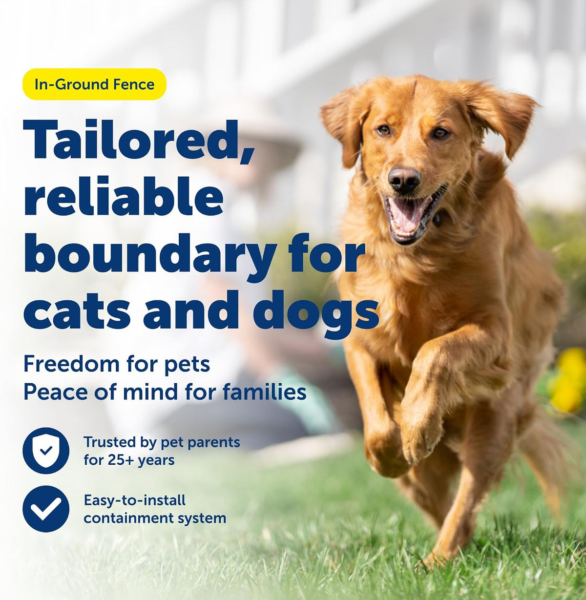 PetSafe In-Ground Pet Fence for Dogs and Cats Over 8 lb. - Waterproof Electric Dog Collar with Tone and Static Correction