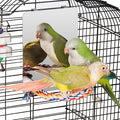 Colorday 7" Bird Mirror with Rope Perch, Bird Swing, Parrot Cage Toys by Colorday