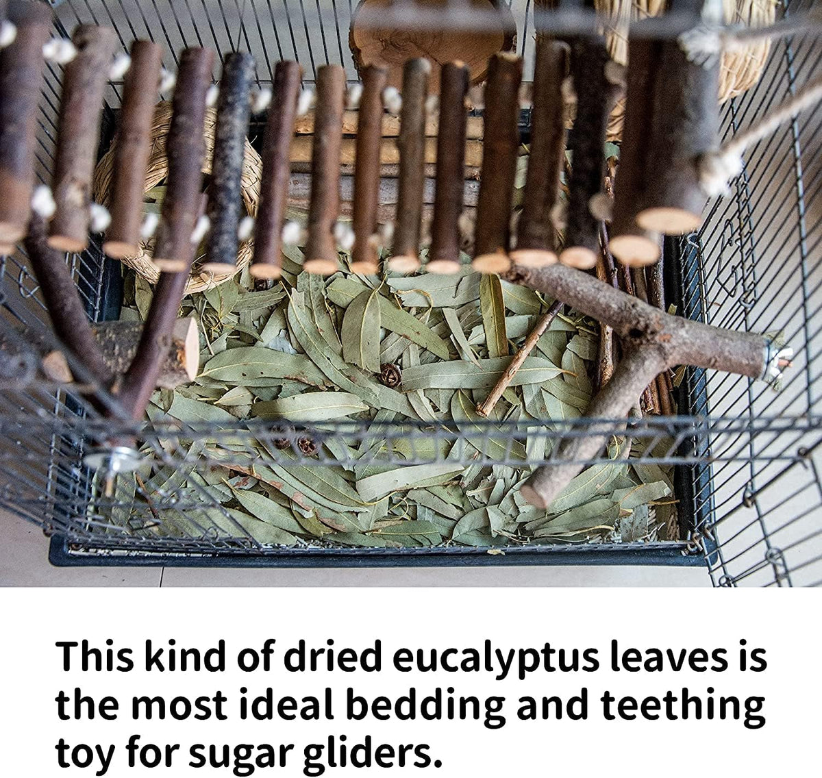 NEOUZA Sugar Glider Bedding, Dried Eucalyptus Leaves and Twigs 7oz/200g