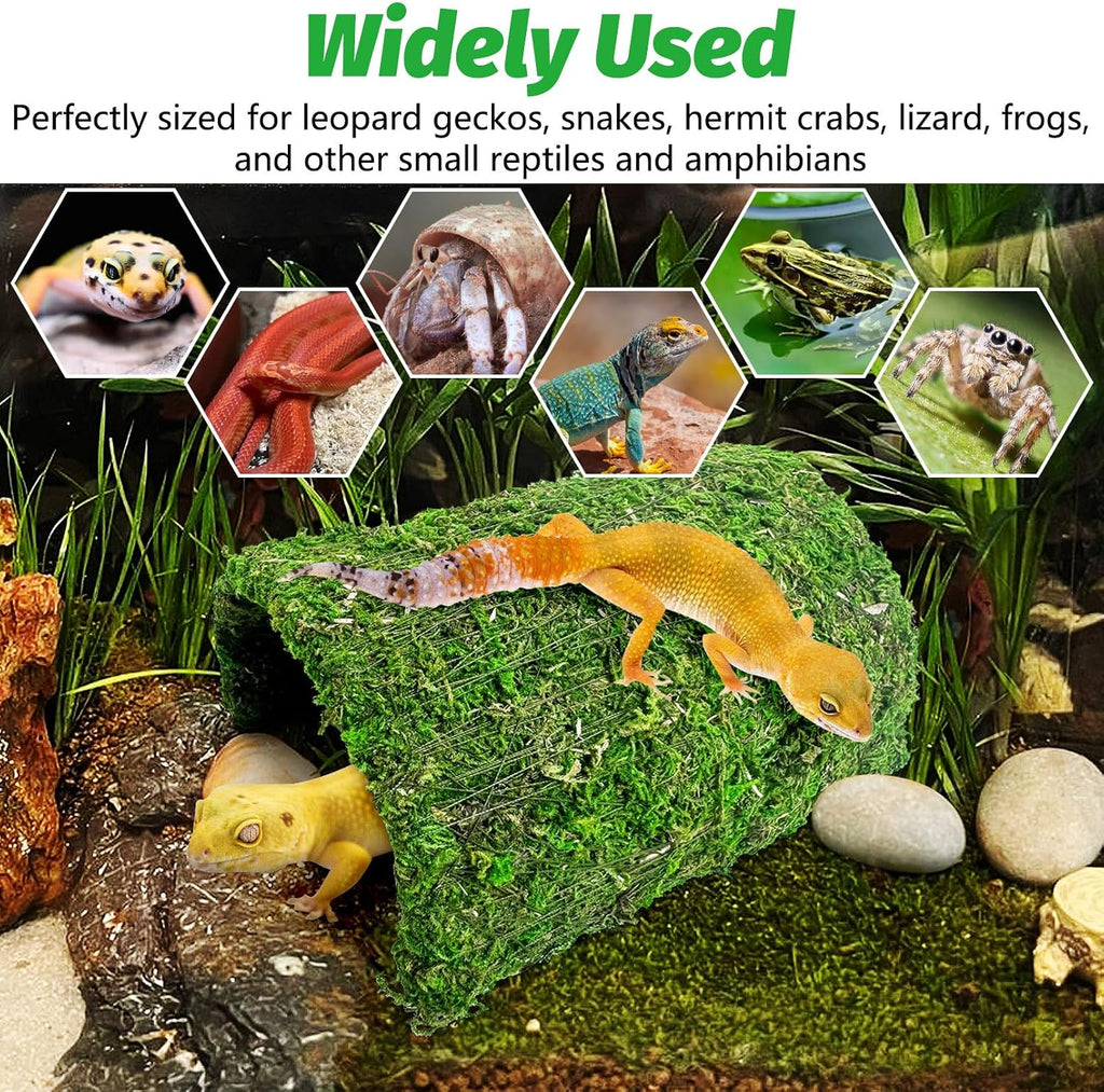 Reptile Hideout Handmade Natural Moss Hide Cave, Style A