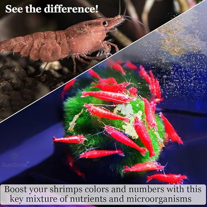 SunGrow Shrimp Calcium White Powder, Supports Healthy Molting, Improves Shell - Image 4