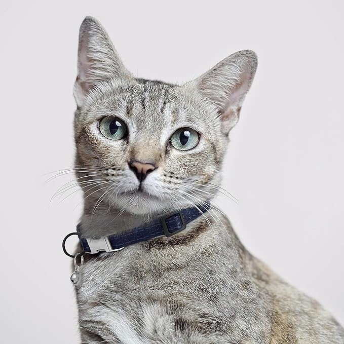 Leather Cat Collar with Buckle and Removable Bell - Image 6