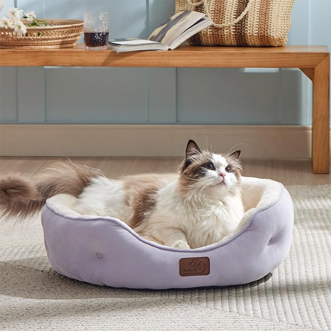 Bedsure Dog Beds for Small Dogs - Image 7