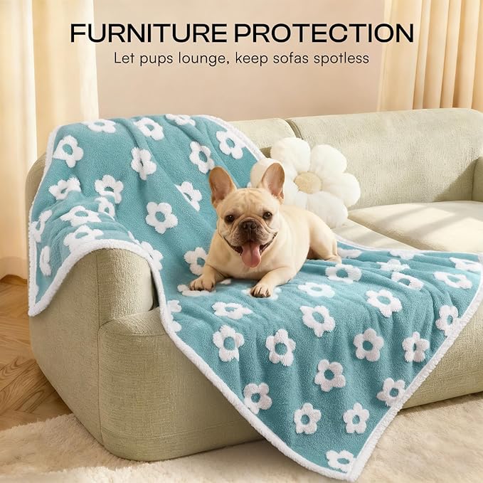 Luciphia Waterproof Pet Blanket - Image 3