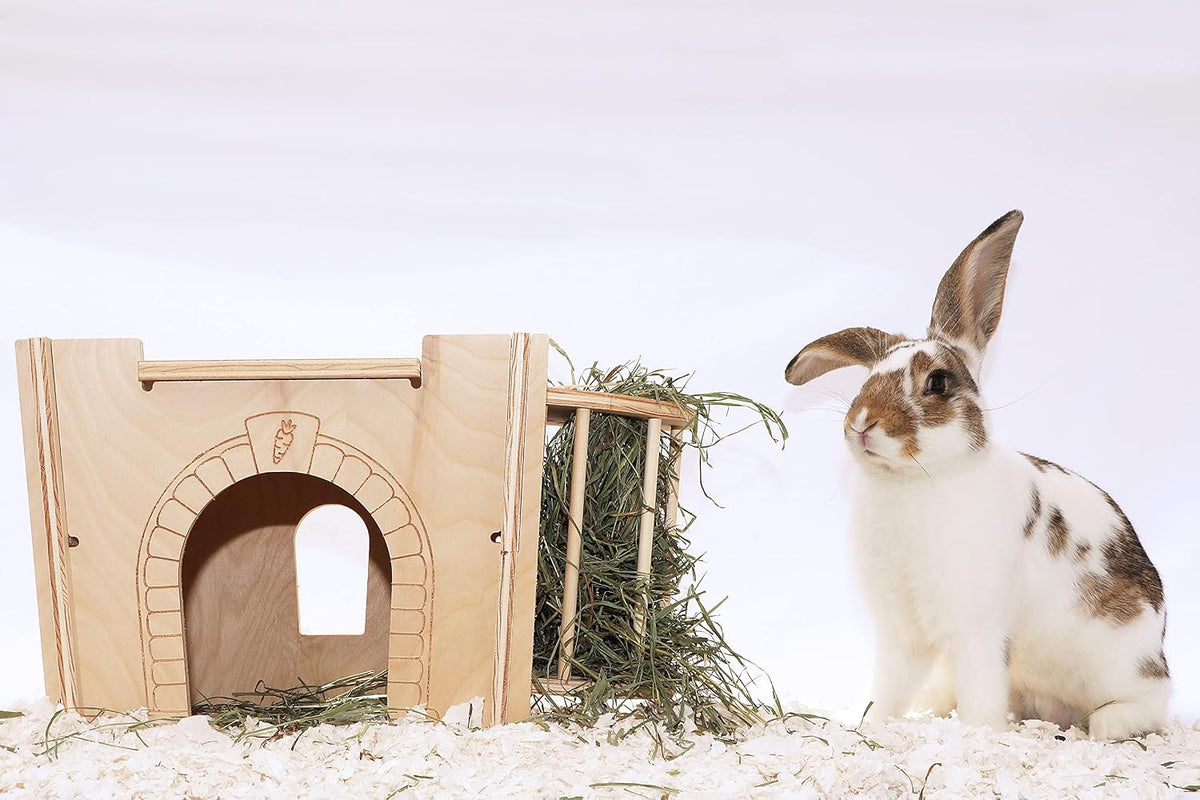 Small Pet Select - Habitat Hideout Bridge/Ramp, Rabbits, Guinea Pigs, Small Animals