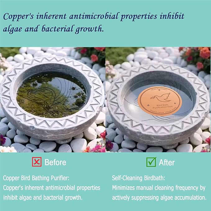 3Pack Bird Bath Copper Purification Disk | 0.6mm Reinforced 99.9% Pure Copper | - Image 4