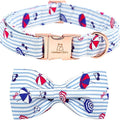Lionheart glory Dog Collar by LionheartGlory