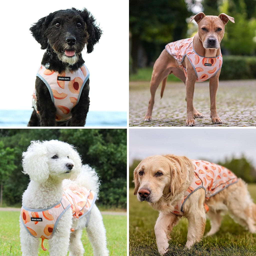 Spark Paws Dog Cooling Vest - Evaporative Summer Cooling, SPF-50 Protection