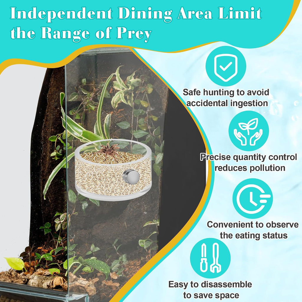 Jumping Spider Magnetic Water Feeding Dish for Small Pets