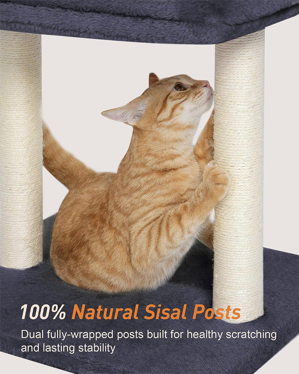 19" Small Cat Tree with Scratching Post for Indoor Cats with Perch