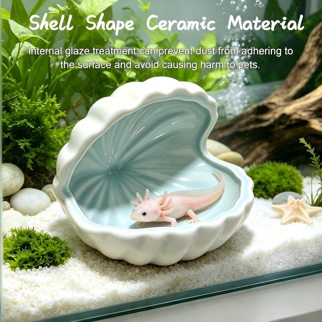 Axolotl Hide Shell Shape Ceramic Axolotl Hiding Spots Caves