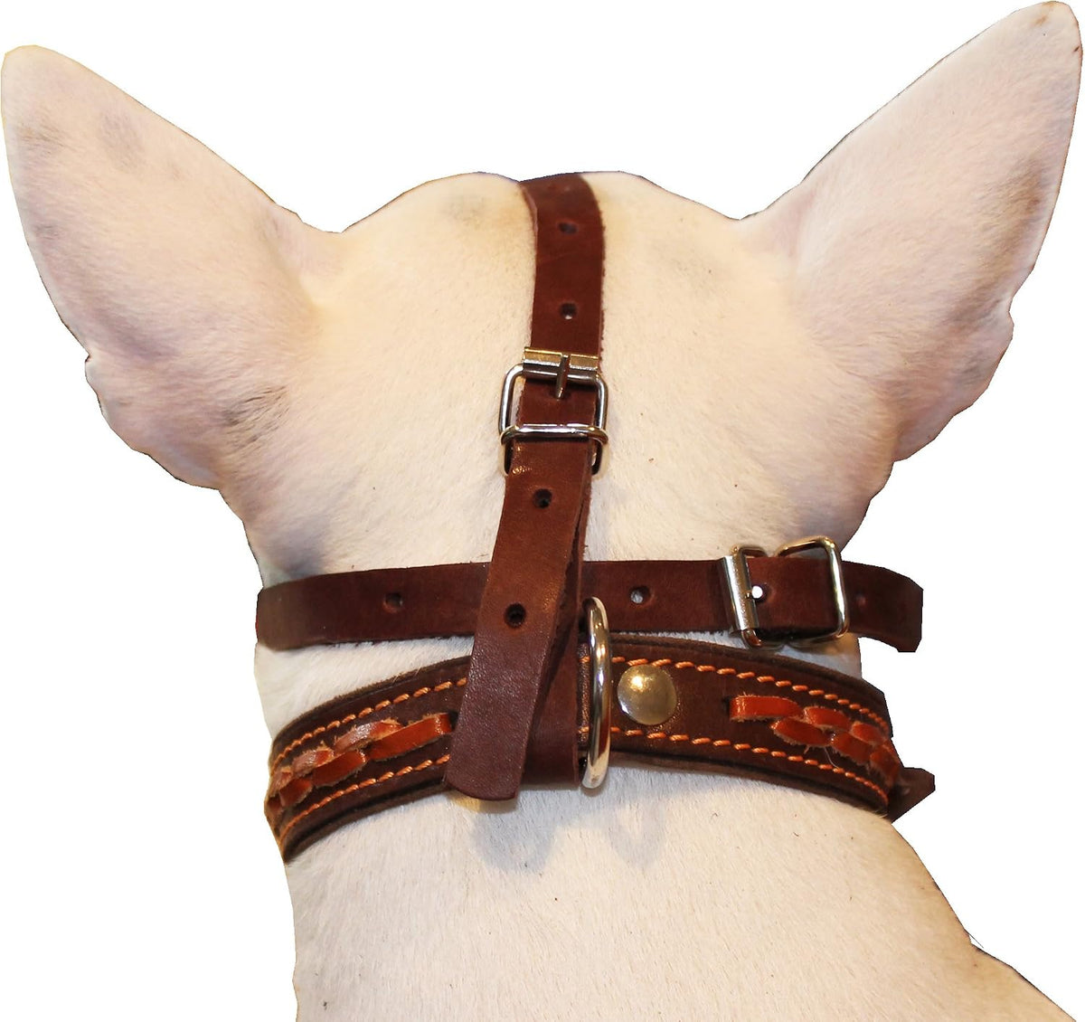 Real Leather Cage Basket Secure Dog Muzzle #119 Brown - Poodle, Spaniel (Circumference 9.5", Snout Length 2.5")
